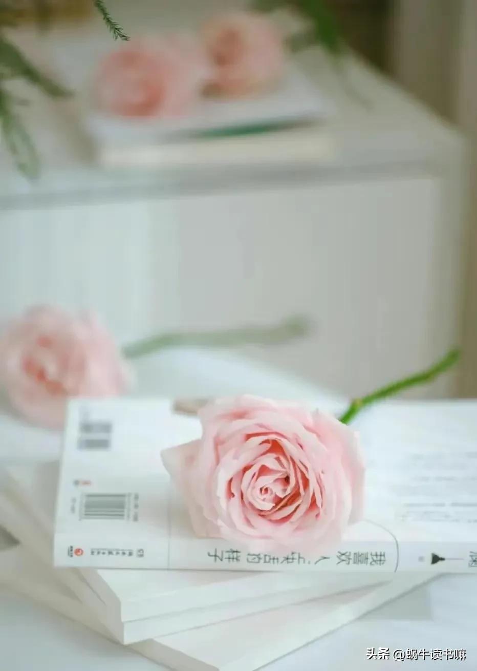 都只知道不忘初心却不知道下一句,不忘初心方得始终深度解析