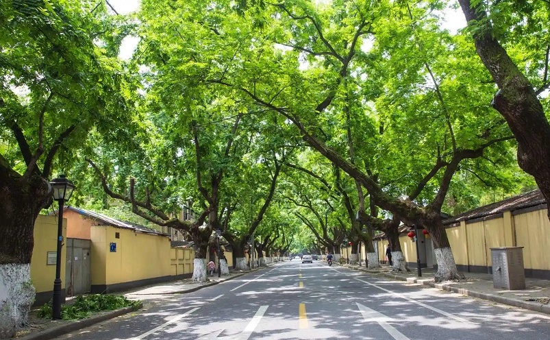 南京免费景点排行榜前十名,南京旅游年卡免费景点一览表