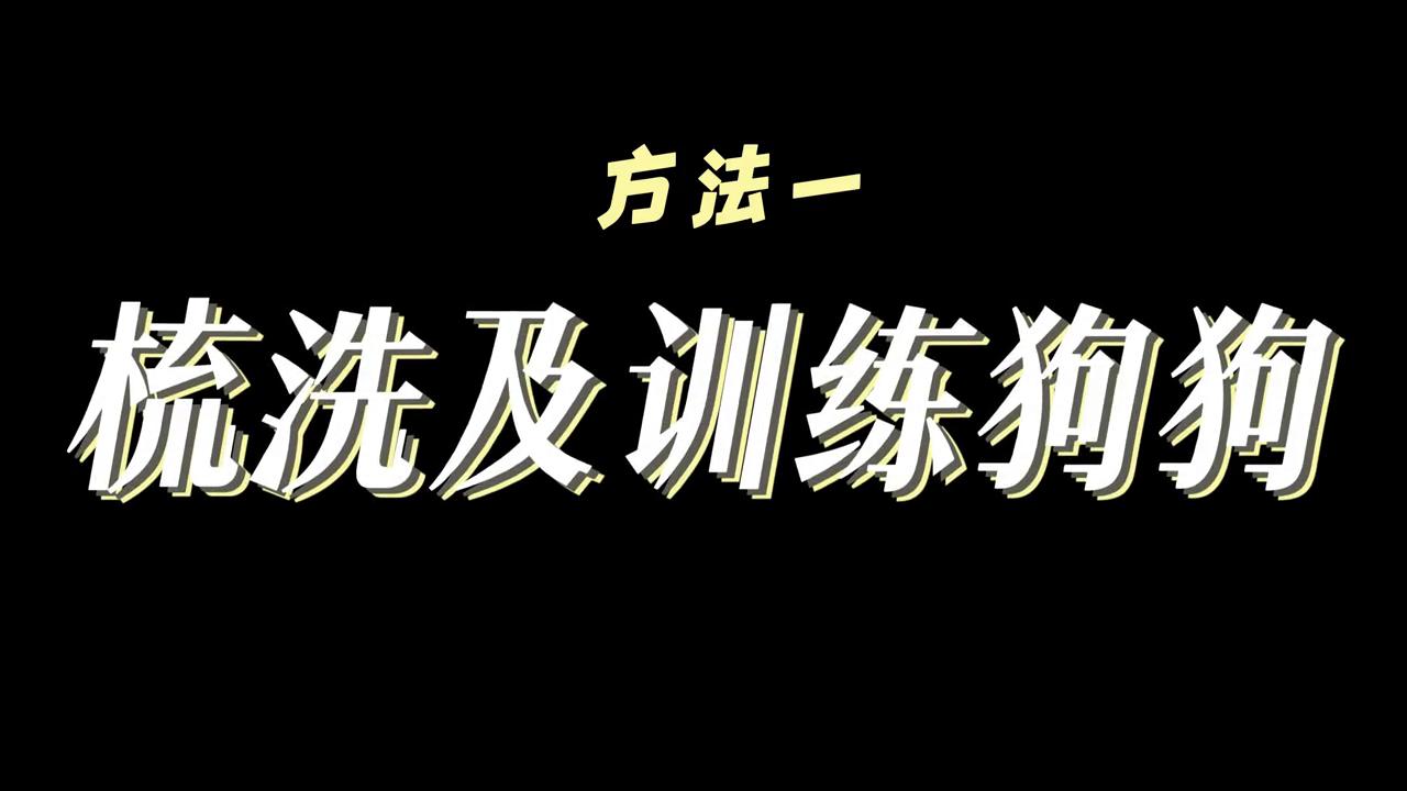旺芙宠物护毛素,养宠家庭如何避免苍蝇