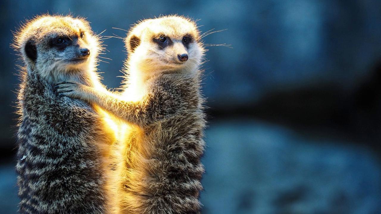 直面青春期课前三分钟教育,与青春期共成长的教育心得