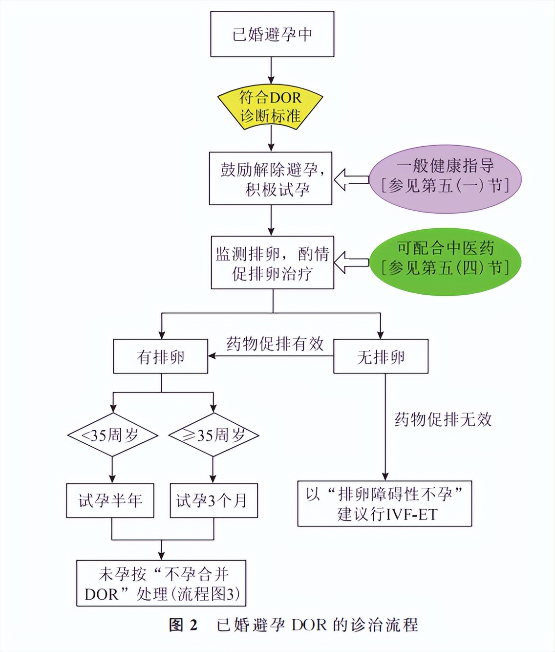派特灵科普2022年最新|卵巢储备功能减退临床诊治专家共识