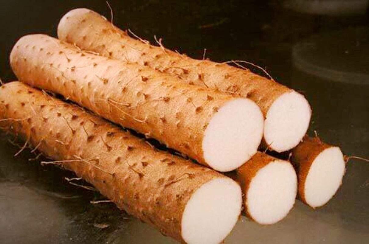 减肥期间主食只吃玉米要吃多少,减肥玉米红薯可以当主食吗