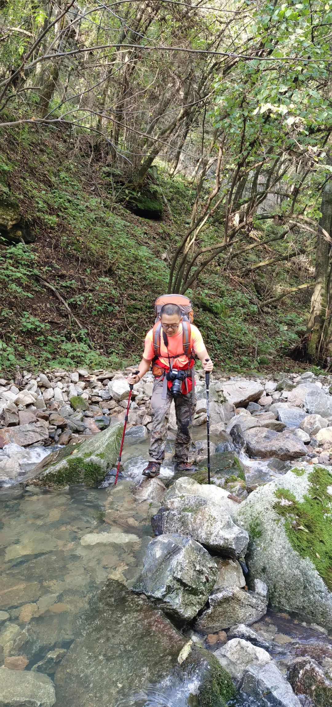 太白山是陕西最高点吗,秦岭最高峰太白山