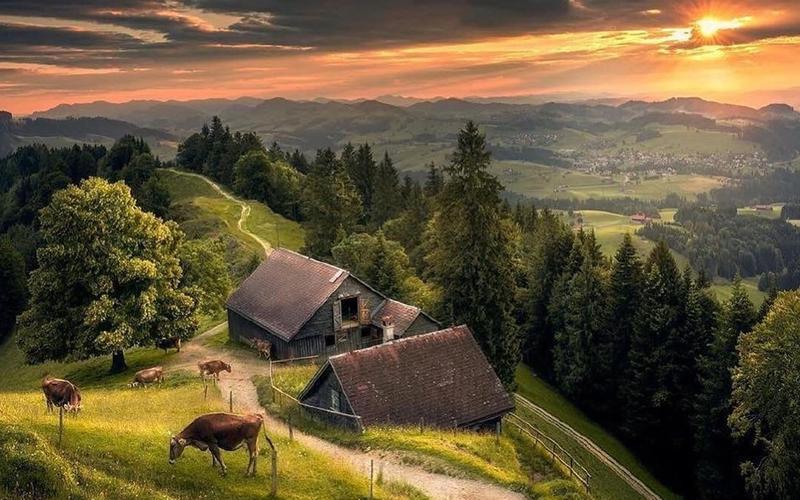 最新农村种田类小说,乡村乡土类种田文小说推荐