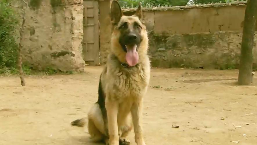 80年代农村寡妇老电影,老电影敢于说真话