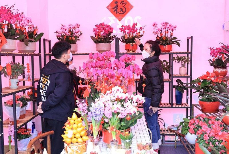 灯笼“修”成雪容融！年花年货别乱扔，手巧就能变出“宝”