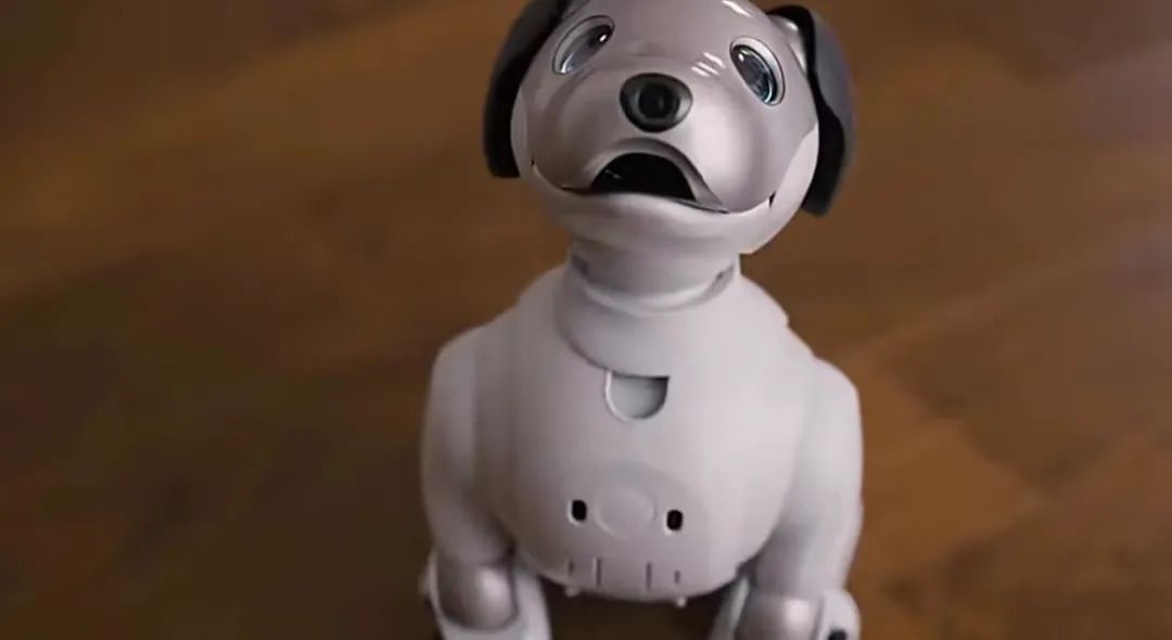 遛机械狗兼职,遛机械狗