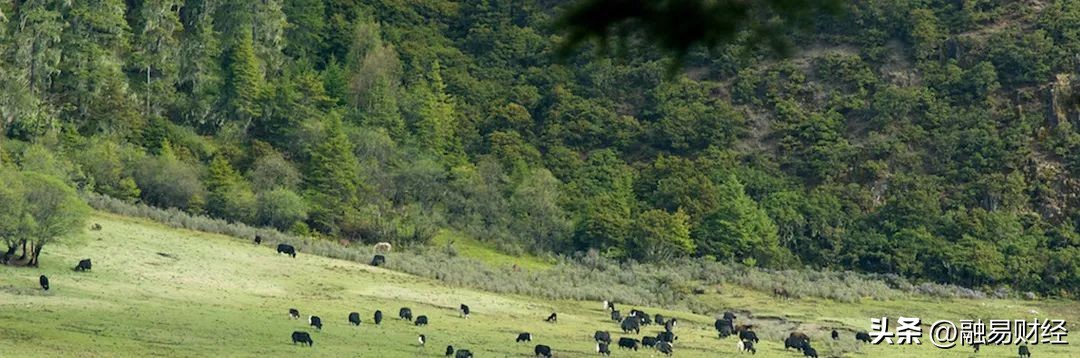 微凉初秋,锦江之星有什么景点