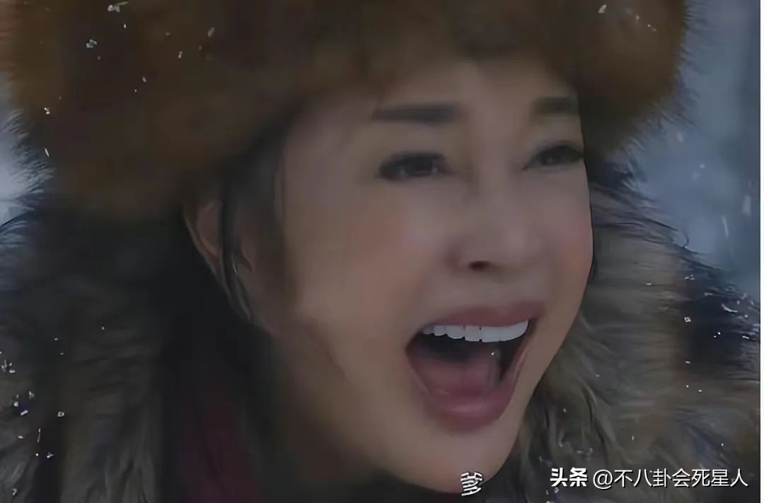 陈数和刘晓庆,干练精致气场强大陈数饰演的角色