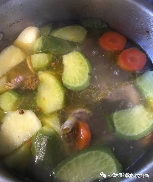 人间美味的动物有哪些,大雁做法和营养价值