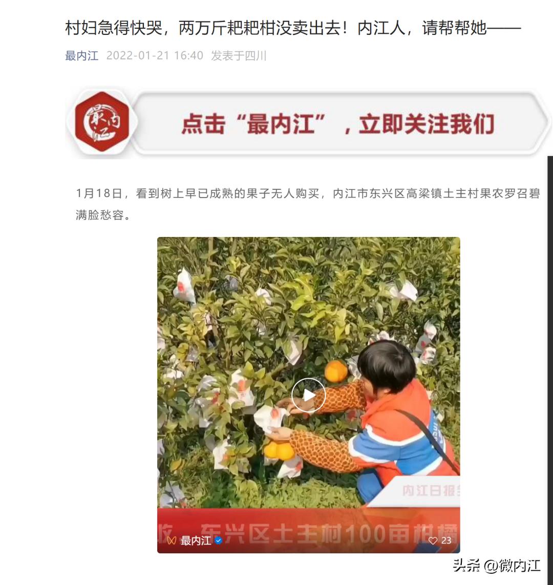 “双微”双飞！微内江/最内江今日从省上抱回大奖——