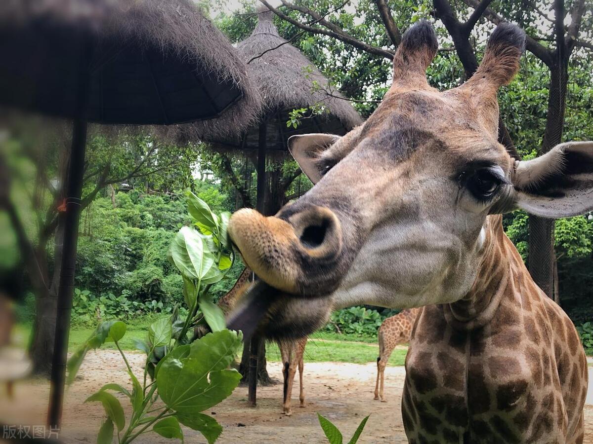 广东哪里有神秘的景点,广东一座隐藏旅游胜地