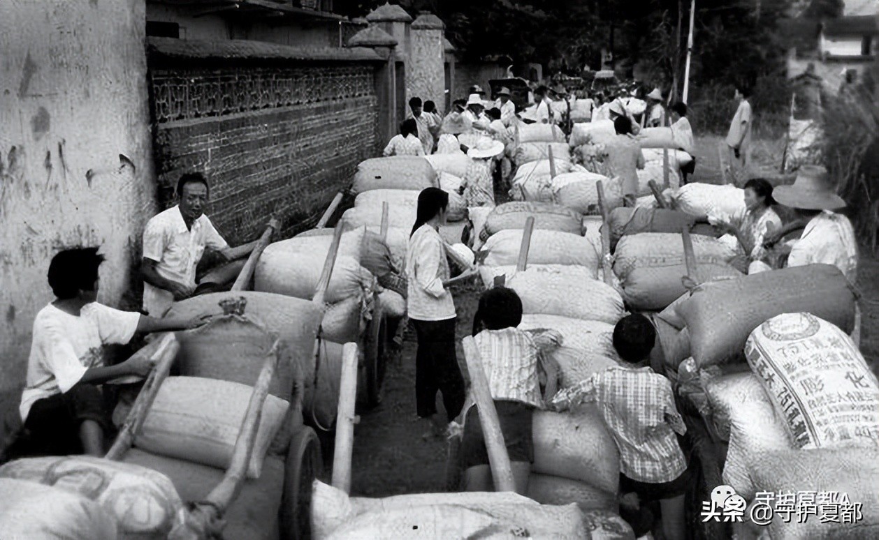 关于农民交公粮的文章,交公粮的80年代老歌完整版