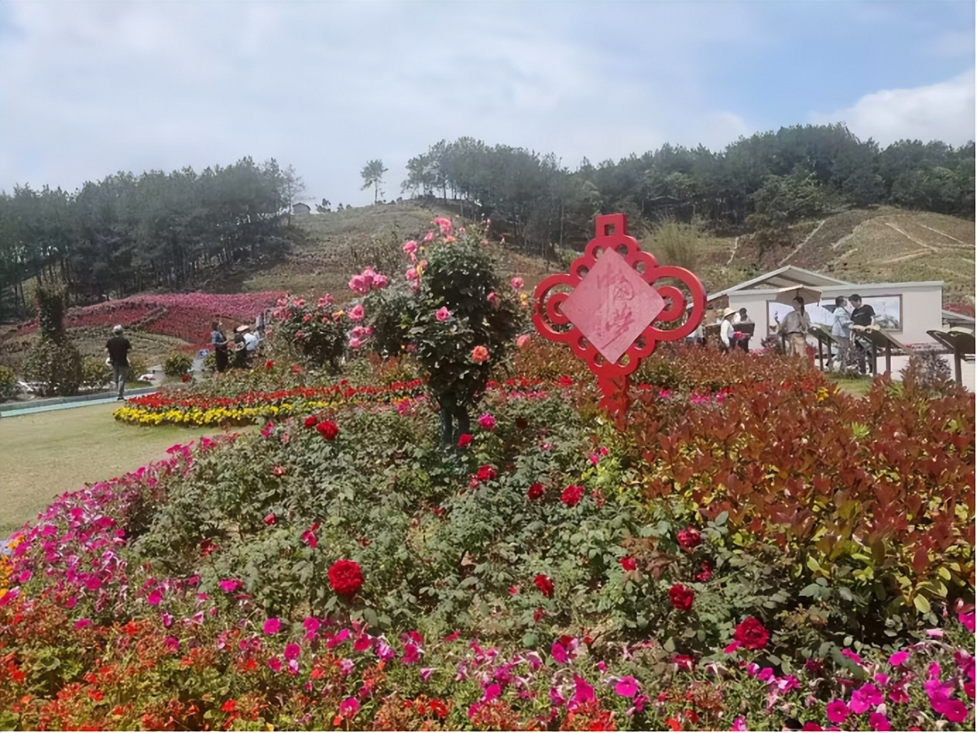 胡国民两室一厅,胡国民乐山