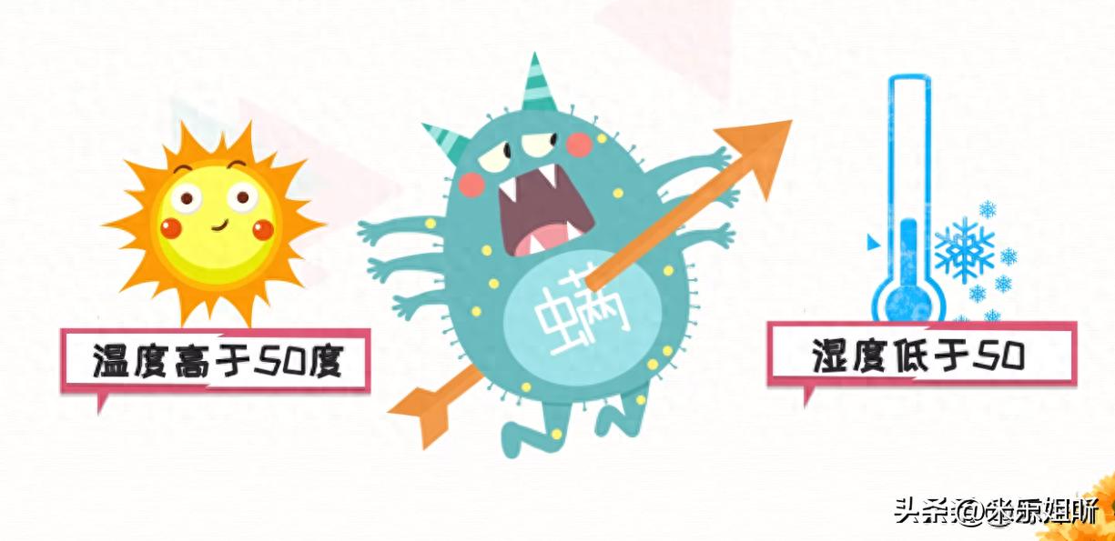 羽绒被暴晒会长虫子吗,羽绒被暴晒还有味道吗