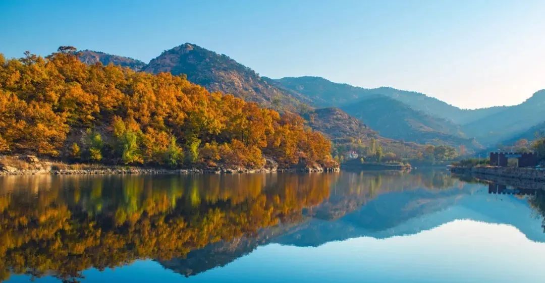 入秋济南好去处,济南秋季看花打卡地