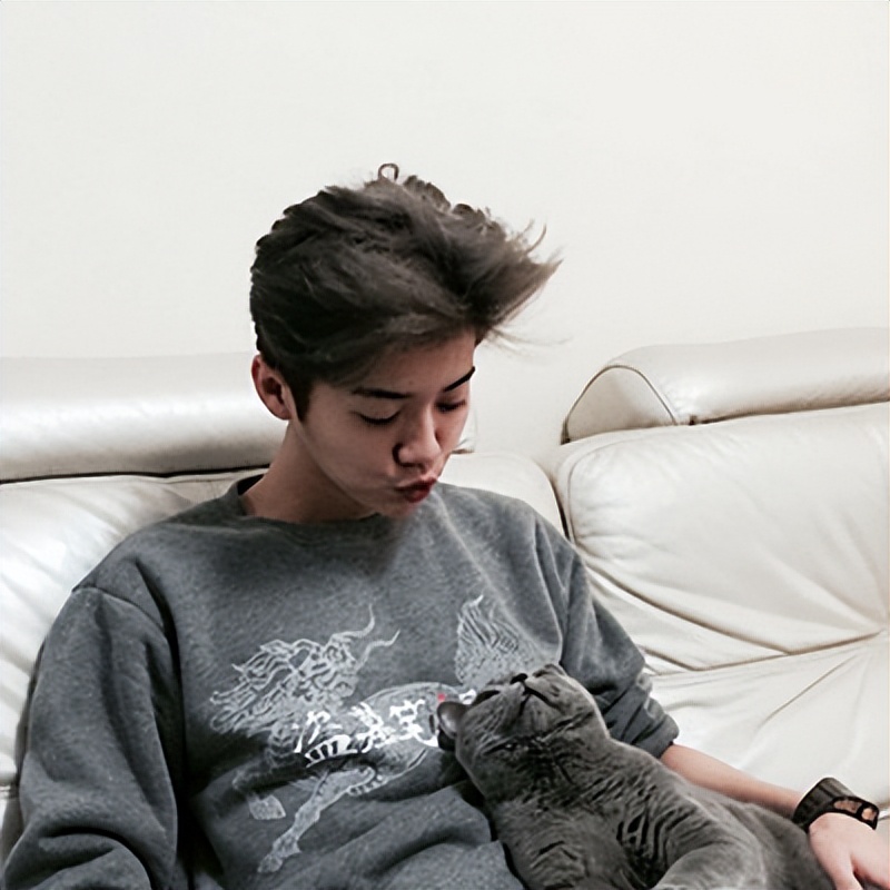 鹿晗解说欧洲杯曼联,曼联铁粉鹿晗