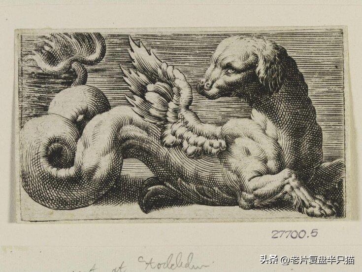 哥斯拉20个泰坦解析,哥斯拉2泰坦巨兽彩蛋