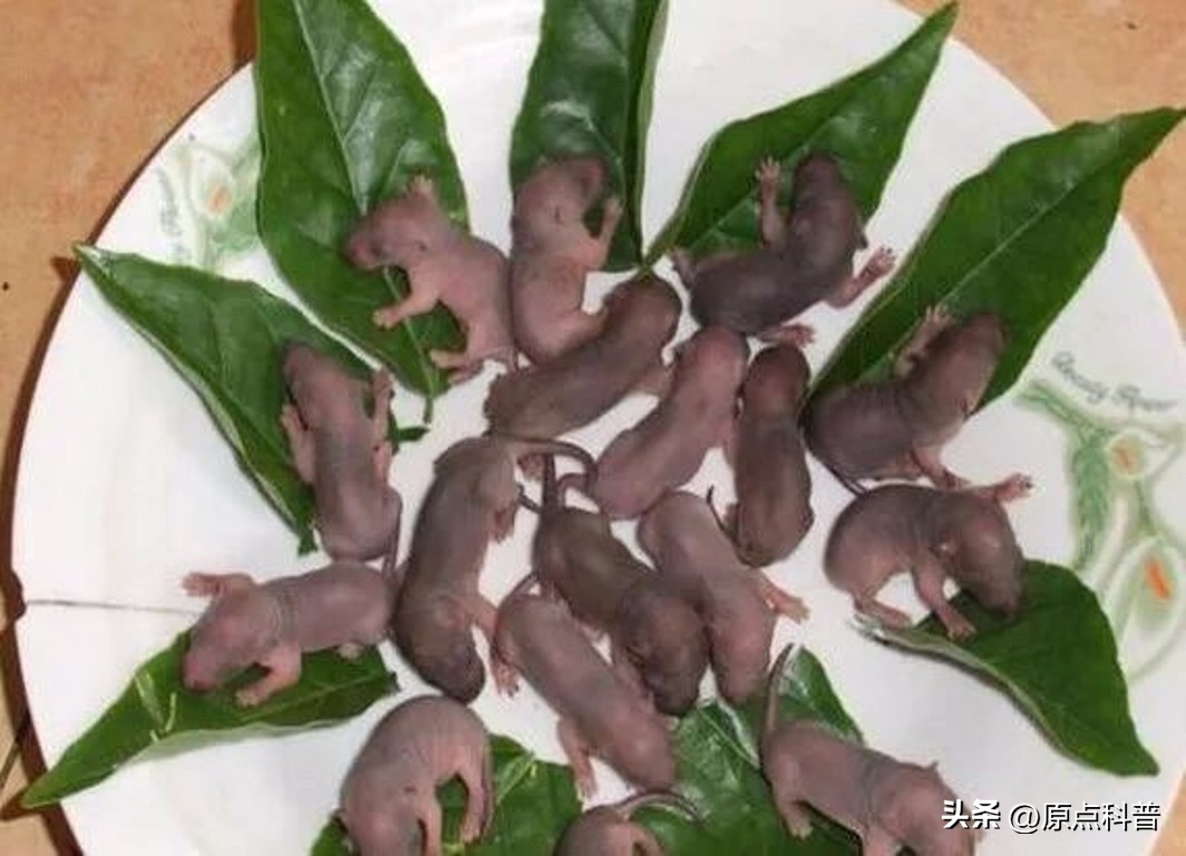 中国十禁名菜,十道禁忌名菜