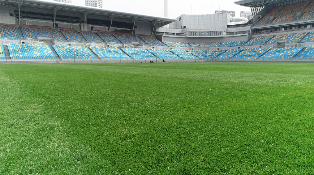 7月21日，咱们泰达足球场见，一起向那些与青春有关的日子致敬！