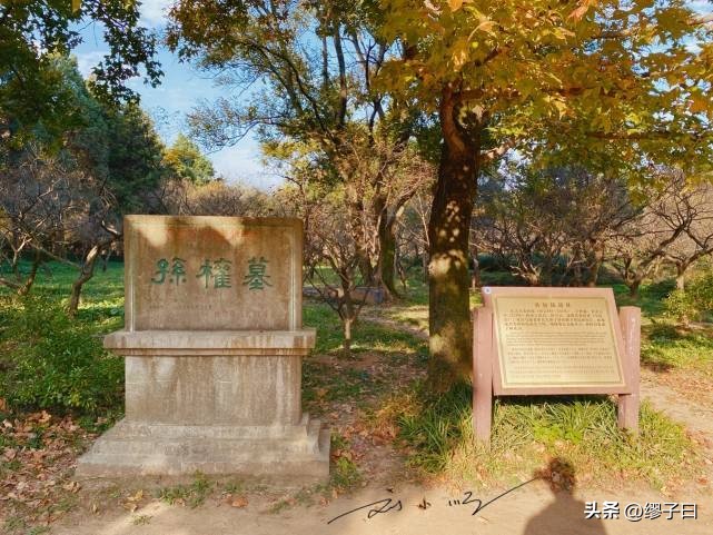 南京一定要去的山,南京值得去的山