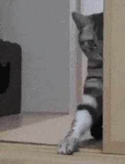 网恋奔现大型翻车纯属尴尬,网恋奔现兄弟们这算翻车吗