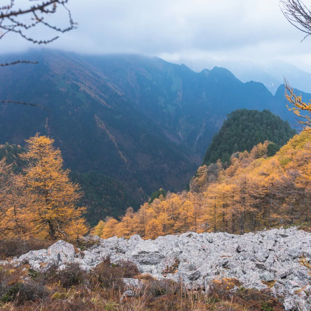 太白山是陕西最高点吗,秦岭最高峰太白山