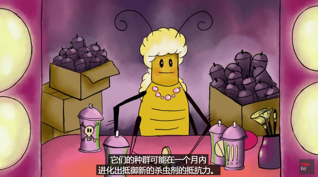 为什么厨房的蟑螂怎么也搞不死,为什么蟑螂这么难杀