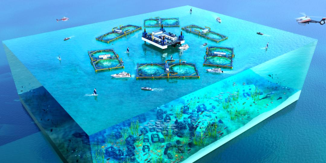 释放“蓝色潜能”入级CCS的“金海一号”养殖网顺利开工