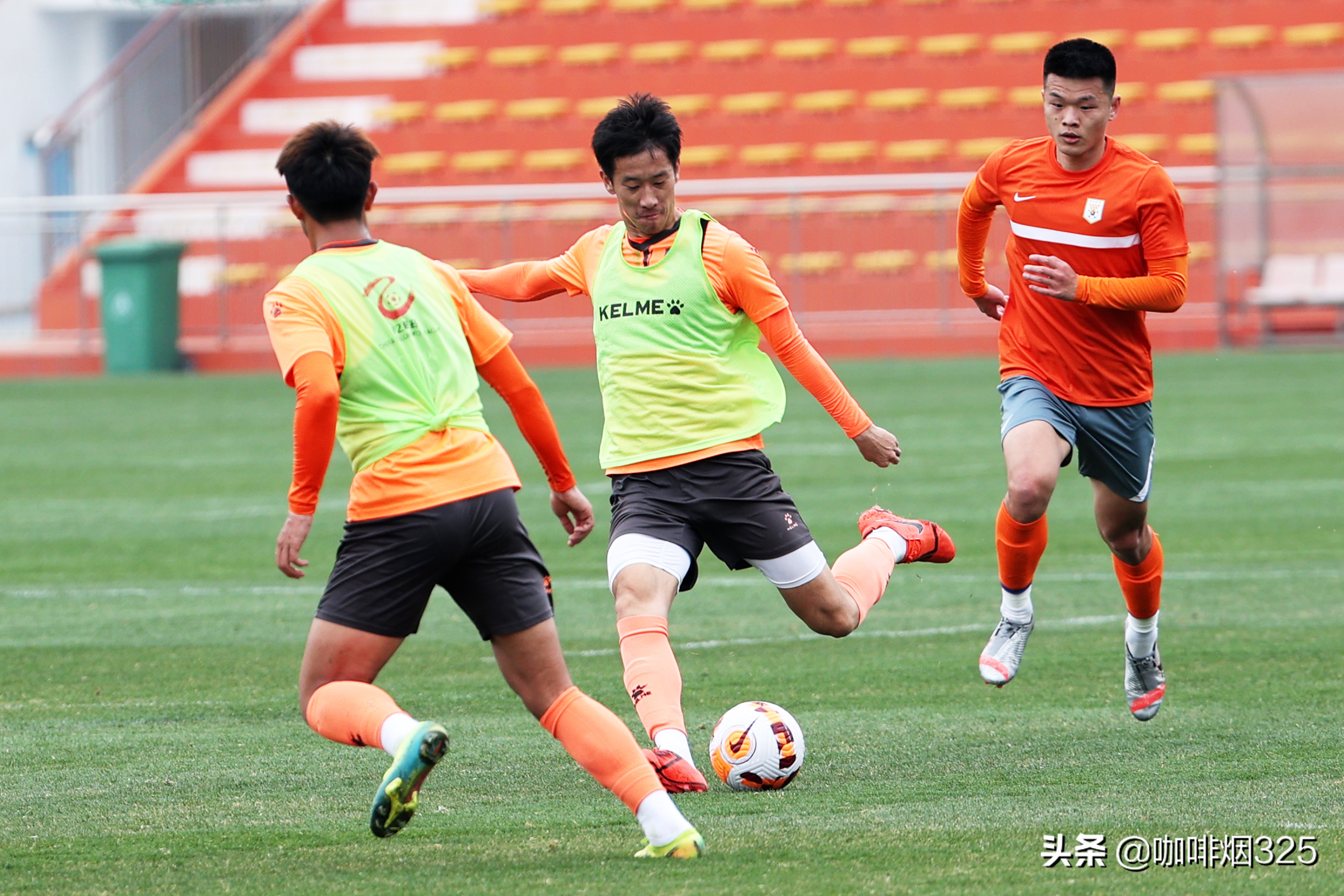 新赛季青岛海牛主场观赛指南,海牛新赛季主场