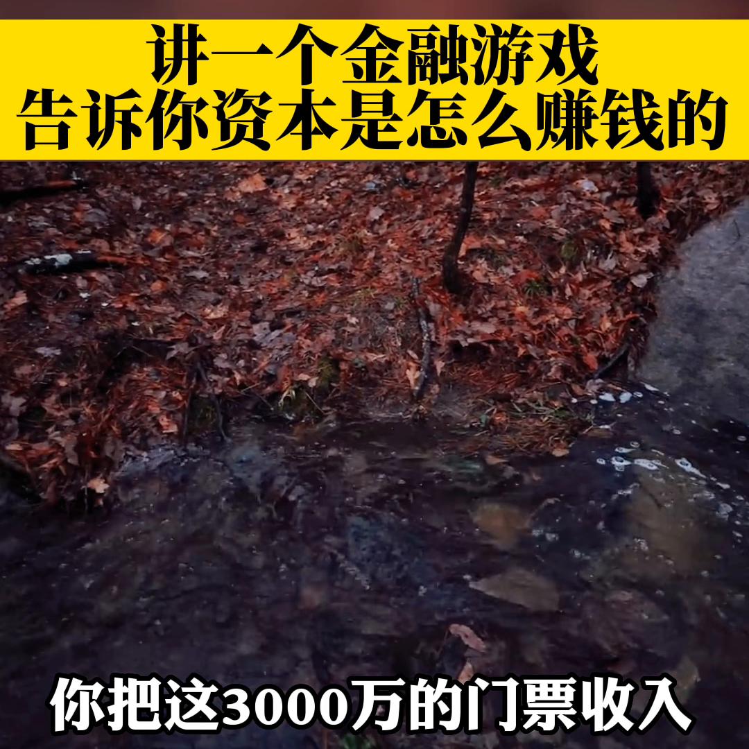 金融资本下的赚钱方法,如何使用金融资本赚钱