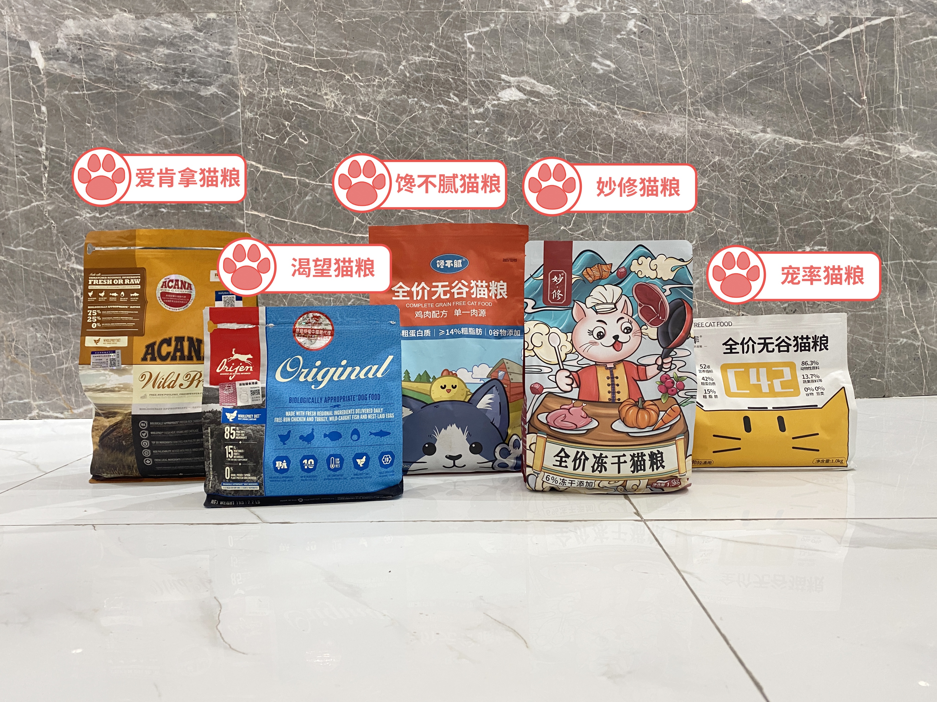 猫咪的克星是什么样子,猫咪最害怕的五件东西