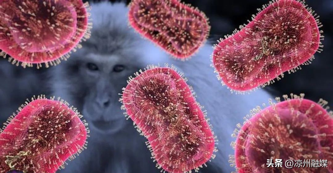 猴痘重点内容和防控知识汇总，包括《猴痘防控技术指南（2022年版）》和《猴痘诊疗指南（2022年版）》等内容