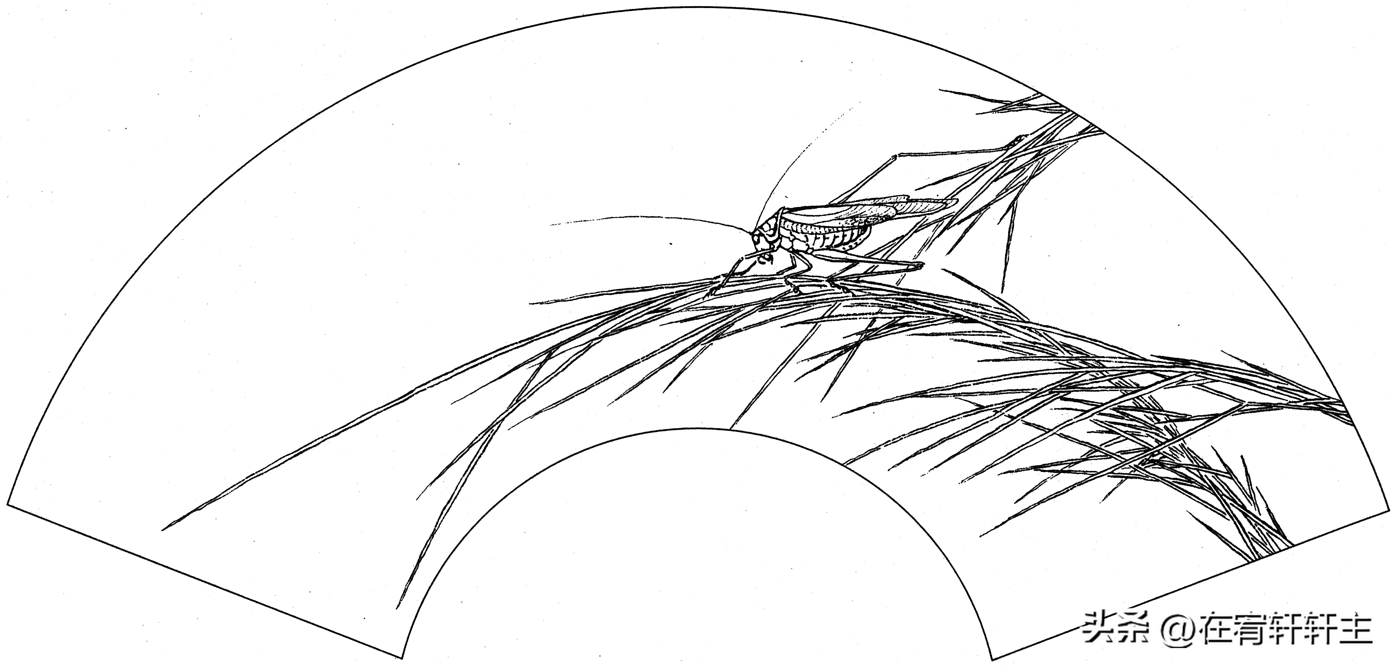 工笔白描祥云图案扇面,工笔扇面葡萄白描图片