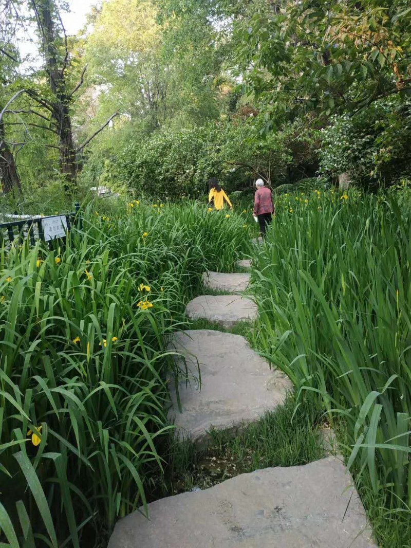 母亲的味道阅读理解及答案,母亲的味道韩剧全集播放