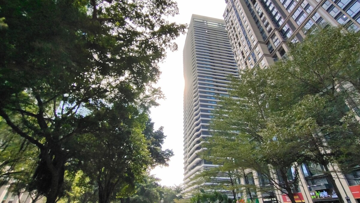 广东省汕头市濠江首富是谁,濠江区首富身家