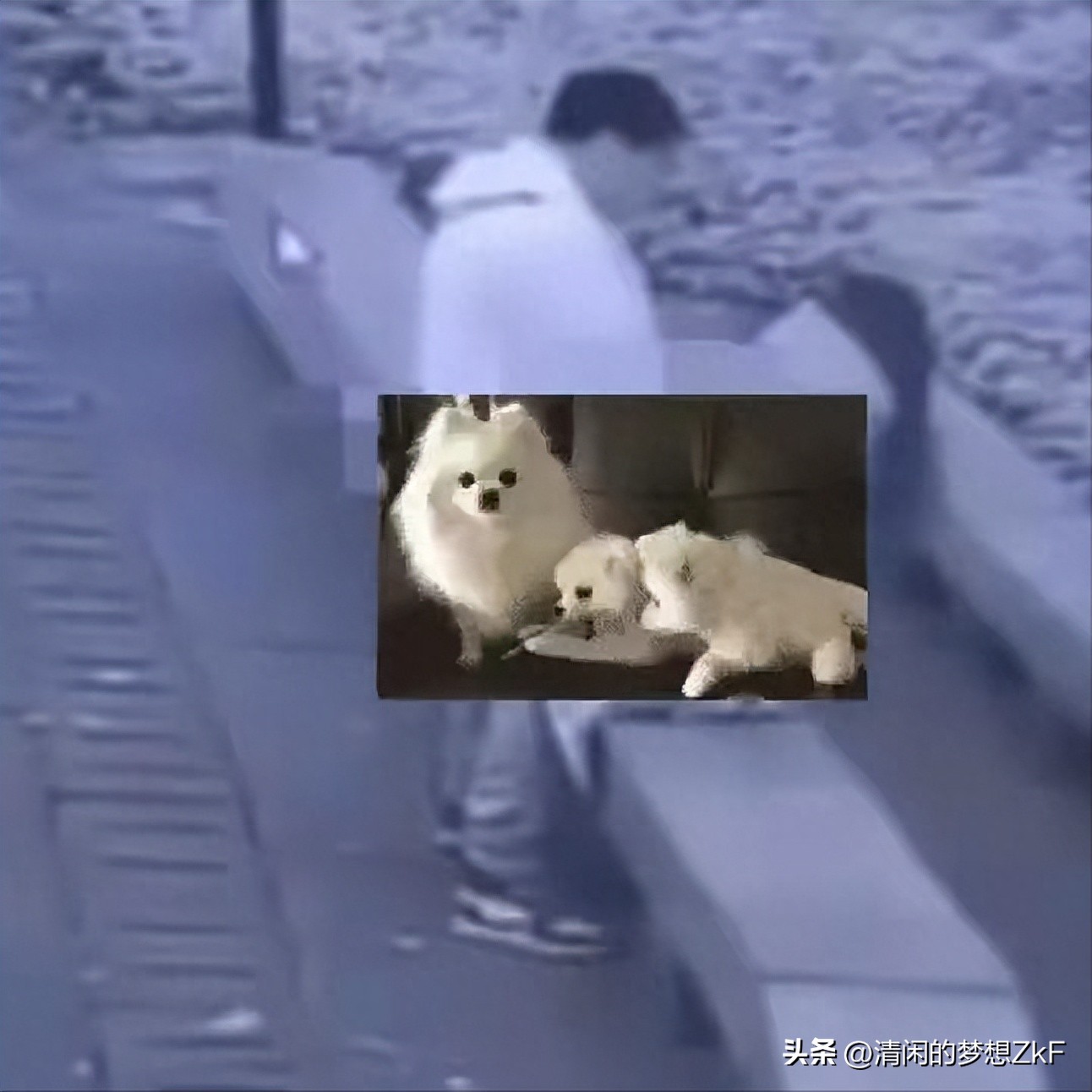 常熟防火中心淫秽视频后续:传播视频者被抓,男女见面都不好意思