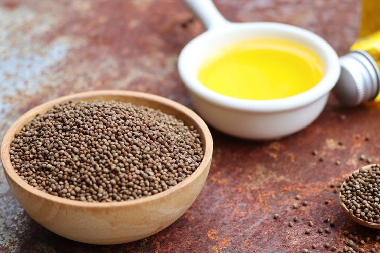 美国禁止的十大食物,美国十大不能吃的食物