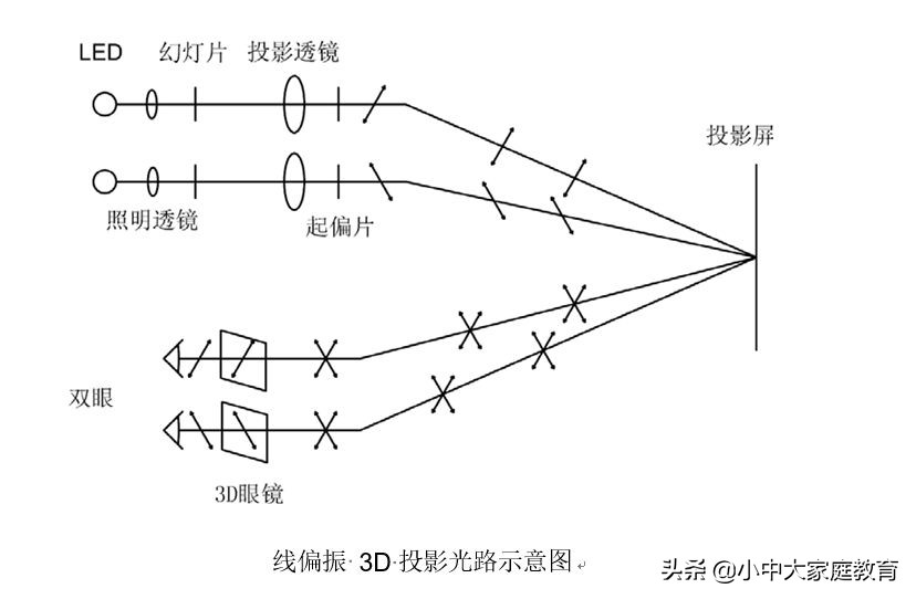看过3D电影，你知道为什么要看3D电影要戴3D眼镜吗？