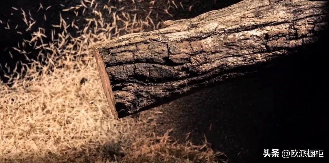 欧派教你如何选板材,90%的人买板材被忽悠