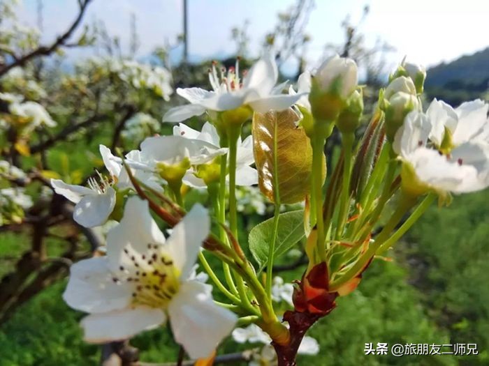 清远阳山二天一夜旅游景点攻略,广州自驾阳山旅游攻略图