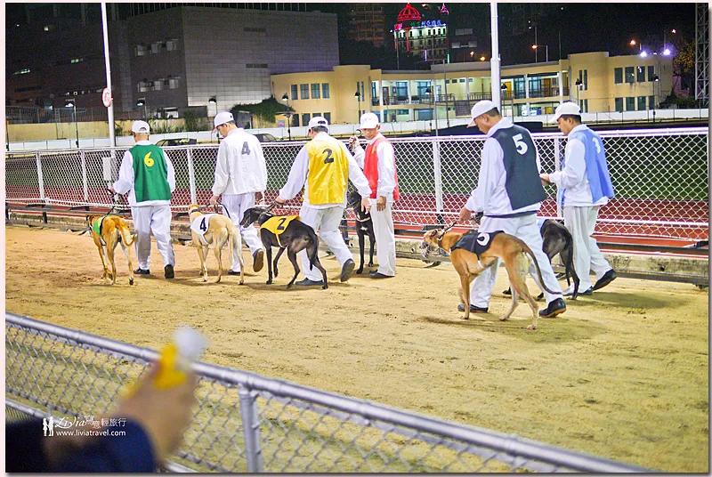 打卡澳门理由,打卡澳门景点