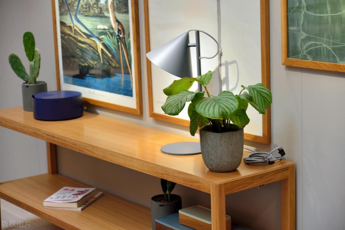 屋内绿植风水布局图解说明,办公室风水布局图绿植