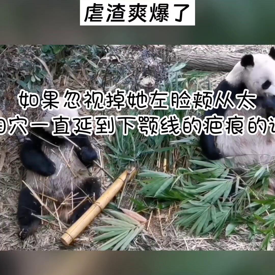 花花华晨宇,花花的世界