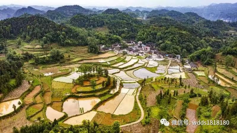 小足球大梦想,小小足球大小梦想