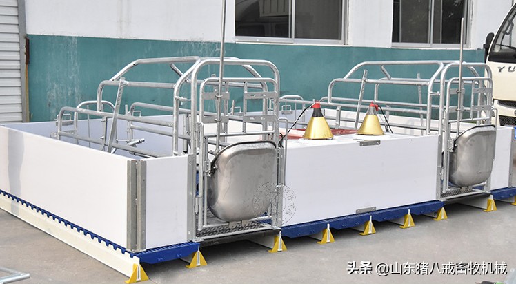 怎么样的母猪产床好及价格,母猪产床的详细尺寸和图片