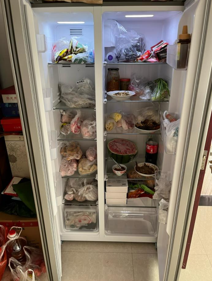 冰箱品牌排行榜2023前十名,家用冰箱品牌排行榜前十名2022年