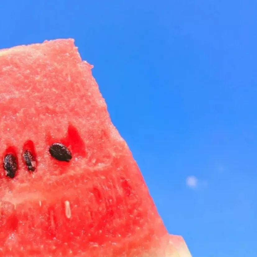 关于浪漫夏季文案高级感,浪漫而不烂俗的高级文案简短