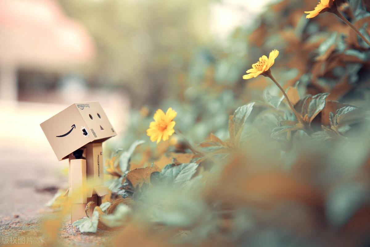 星座运势双鱼座塔罗牌,星座运势双鱼座属牛