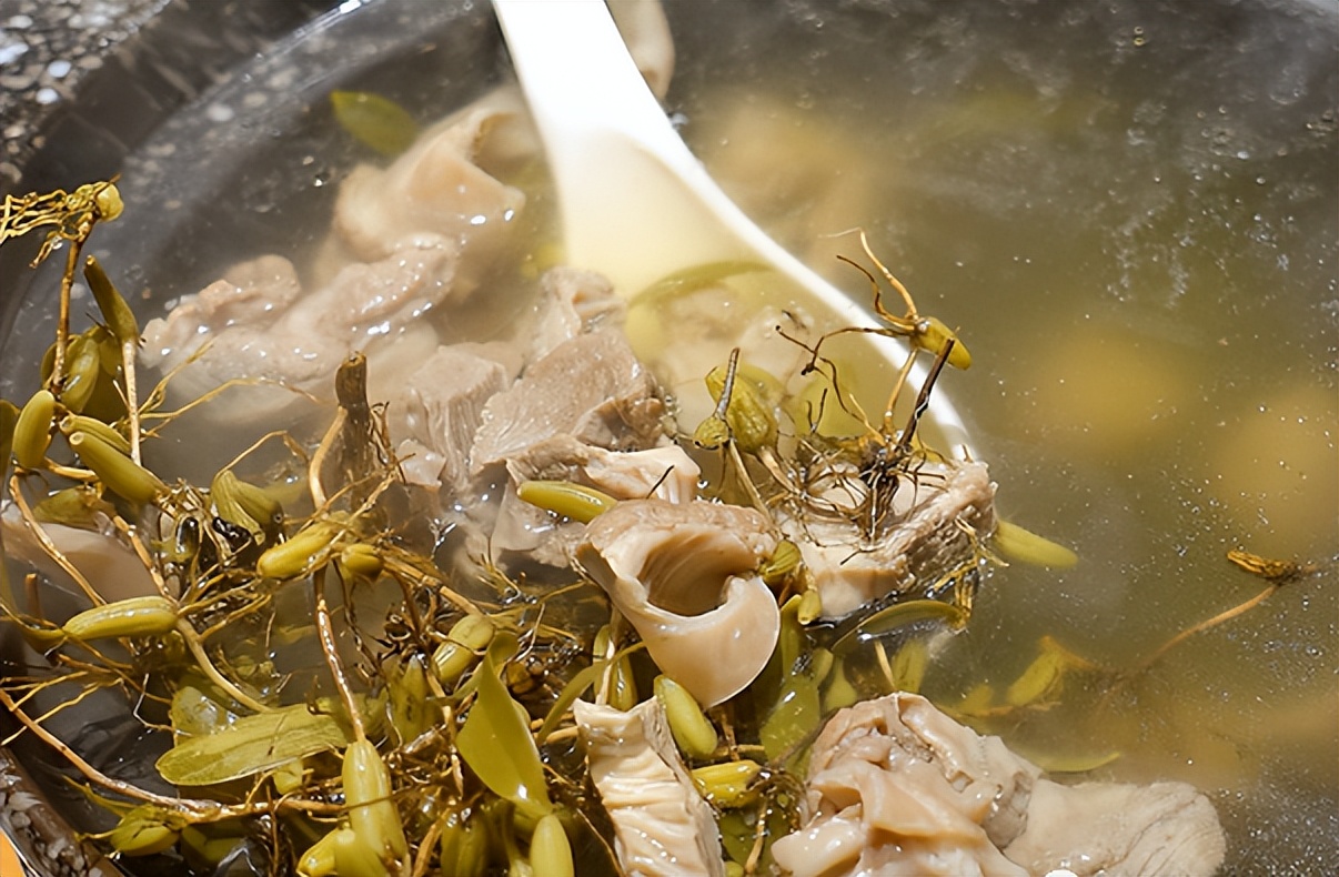 农村老人俗称“嗓子草”，被誉为软黄金，2023你可认识？